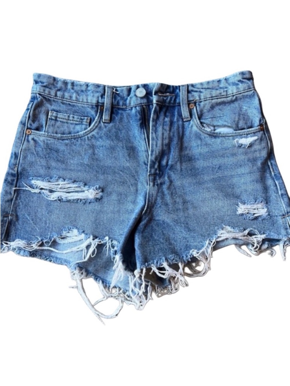 BLANKNYC The Barrow Rigid High Rise Distressed Denim Shorts Size 28 Cutoff Fraye